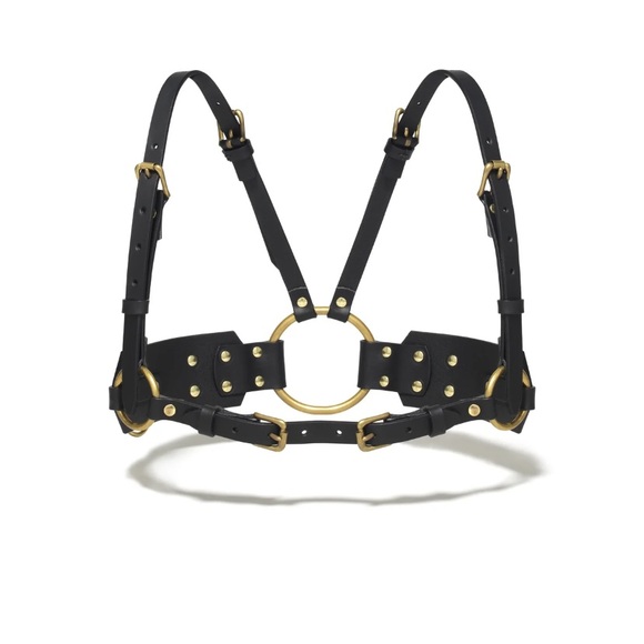 Ardeo harness with brass hardware - Picture 1 of 6